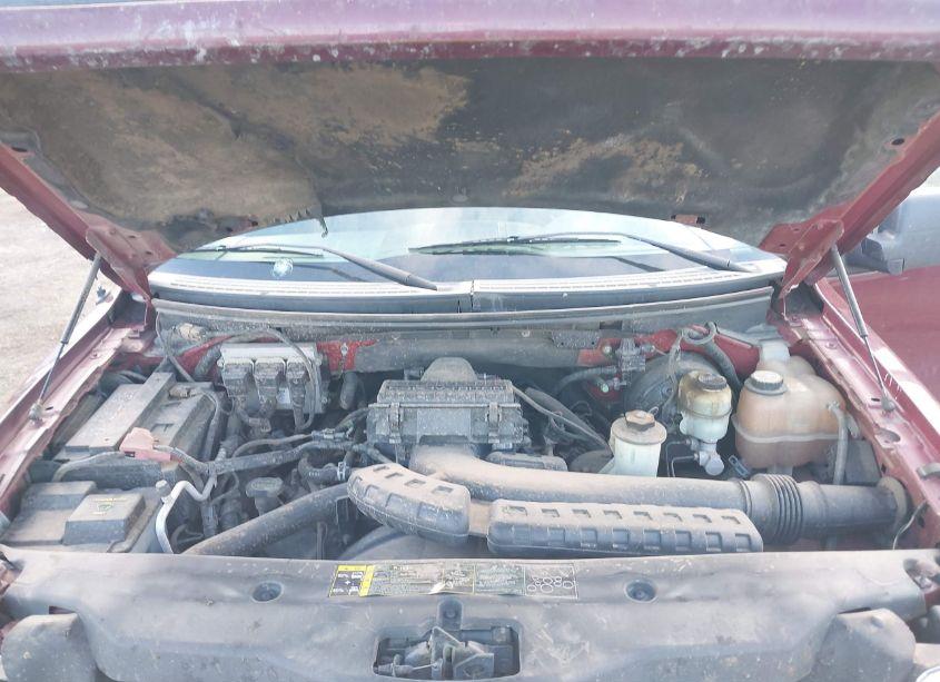 Photo 10 of 2004 Ford F-150 FX4/LARIAT/XLT (VIN 1FTPW14554KD26279)