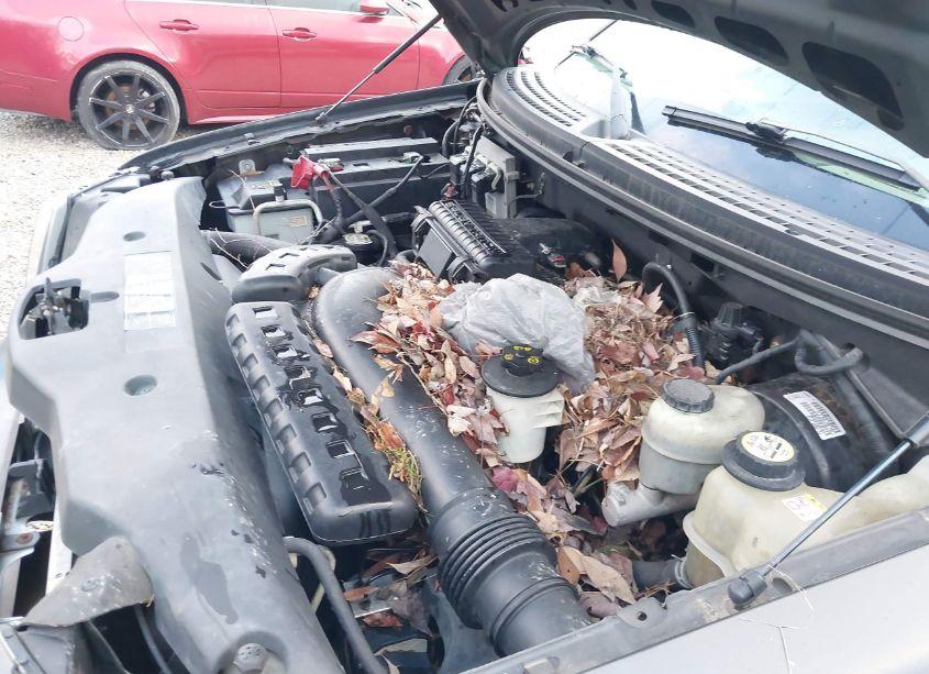 Photo 10 of 2005 Ford F-150 FX4/LARIAT/XLT (VIN 1FTPW14555FA92266)