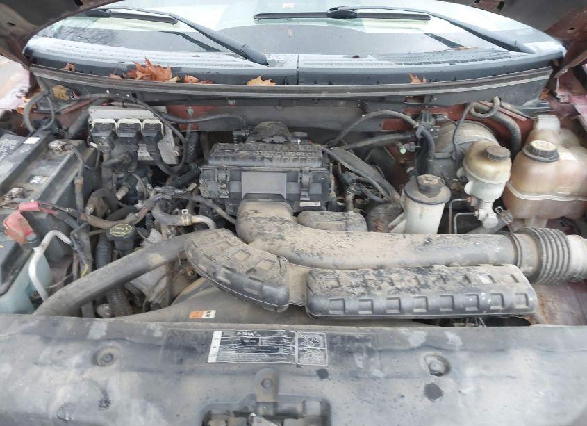 Photo 10 of 2005 Ford F-150 FX4/LARIAT/XLT (VIN 1FTPW145X5KE54454)