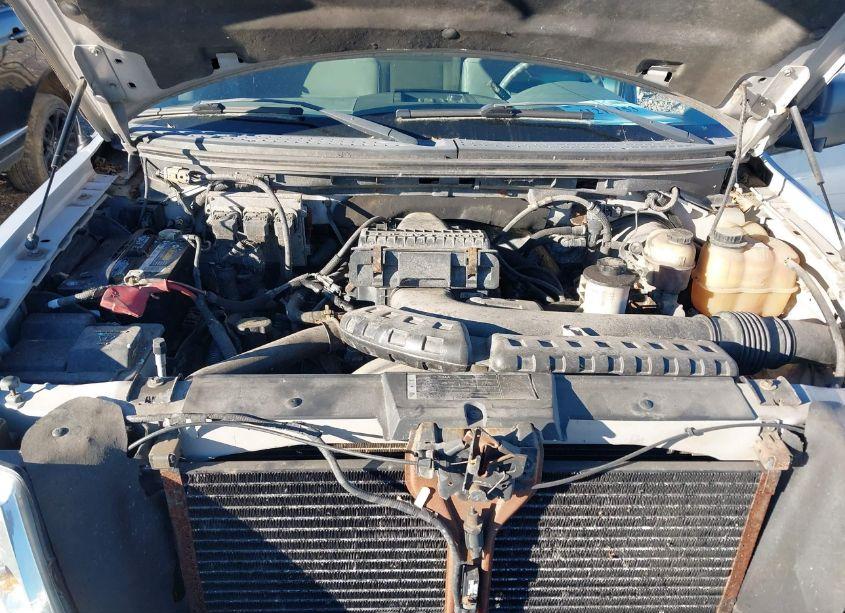 Photo 10 of 2008 Ford F-150 60TH ANNIVERSARY/FX4/KING RANCH/LARIAT/XLT (VIN 1FTPW14V08FC17159)