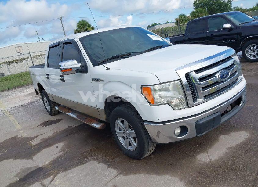 2009 Ford F-150 FX4/KING RANCH/LARIAT/PLATINUM/XL/XLT (VIN 1FTPW14V09FB17970) main photo