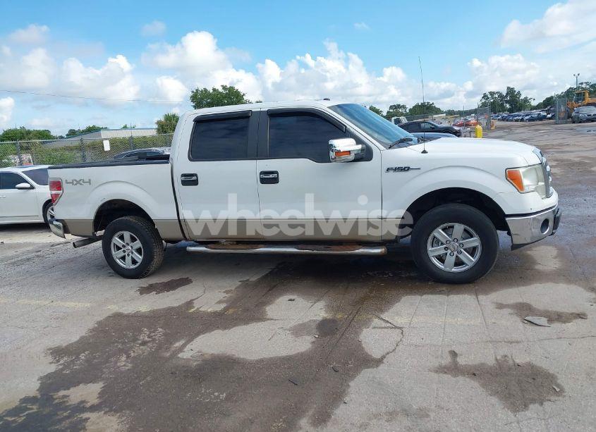 Photo 13 of 2009 Ford F-150 FX4/KING RANCH/LARIAT/PLATINUM/XL/XLT (VIN 1FTPW14V09FB17970)