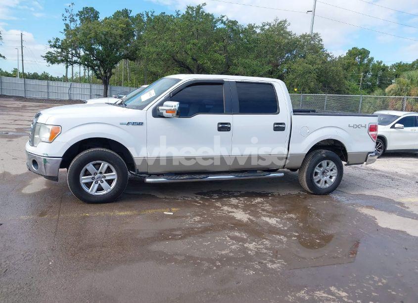 Photo 14 of 2009 Ford F-150 FX4/KING RANCH/LARIAT/PLATINUM/XL/XLT (VIN 1FTPW14V09FB17970)