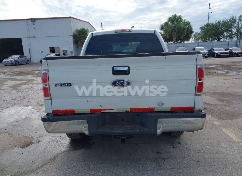 Photo 16 of 2009 Ford F-150 FX4/KING RANCH/LARIAT/PLATINUM/XL/XLT (VIN 1FTPW14V09FB17970)