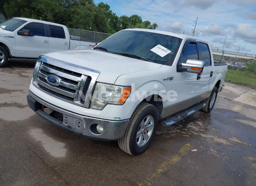 Photo 2 of 2009 Ford F-150 FX4/KING RANCH/LARIAT/PLATINUM/XL/XLT (VIN 1FTPW14V09FB17970)