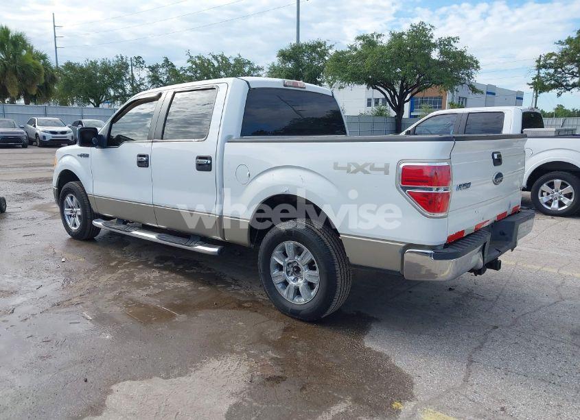 Photo 3 of 2009 Ford F-150 FX4/KING RANCH/LARIAT/PLATINUM/XL/XLT (VIN 1FTPW14V09FB17970)