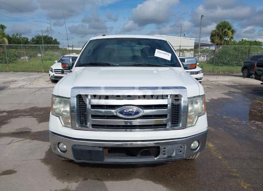 Photo 6 of 2009 Ford F-150 FX4/KING RANCH/LARIAT/PLATINUM/XL/XLT (VIN 1FTPW14V09FB17970)