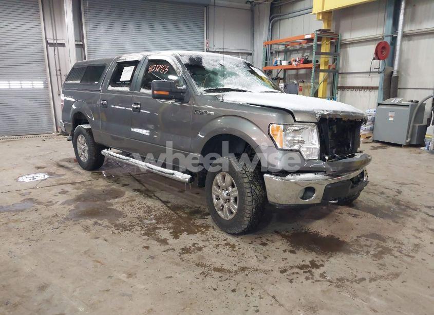 2009 Ford F-150 FX4/KING RANCH/LARIAT/PLATINUM/XL/XLT (VIN 1FTPW14V19FB11854) main photo
