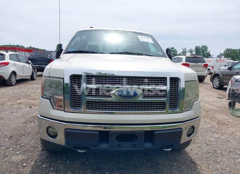 Photo 12 of 2009 Ford F-150 FX4/KING RANCH/LARIAT/PLATINUM/XL/XLT (VIN 1FTPW14V19FB19582)