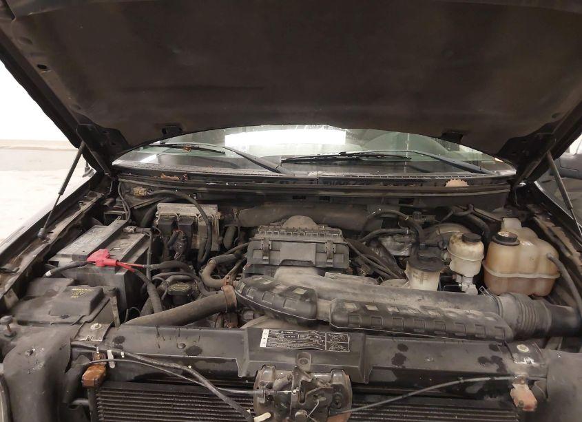 Photo 10 of 2008 Ford F-150 60TH ANNIVERSARY/FX4/KING RANCH/LARIAT/XLT (VIN 1FTPW14V28FB71527)