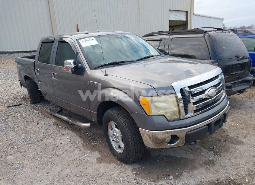 2009 Ford F-150 FX4/KING RANCH/LARIAT/PLATINUM/XL/XLT (VIN 1FTPW14V29FB04864) main photo