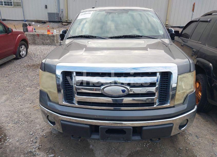 Photo 12 of 2009 Ford F-150 FX4/KING RANCH/LARIAT/PLATINUM/XL/XLT (VIN 1FTPW14V29FB04864)
