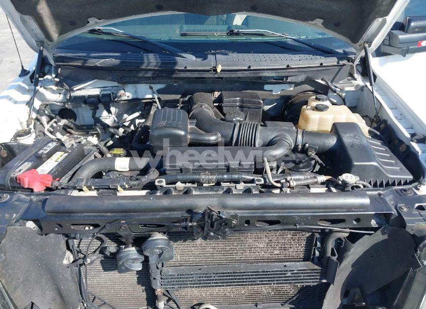 Photo 10 of 2009 Ford F-150 FX4/KING RANCH/LARIAT/PLATINUM/XL/XLT (VIN 1FTPW14V29FB43499)