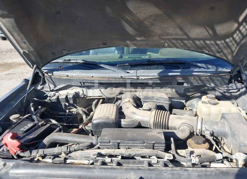 Photo 10 of 2009 Ford F-150 FX4/KING RANCH/LARIAT/PLATINUM/XL/XLT (VIN 1FTPW14V39FB12214)