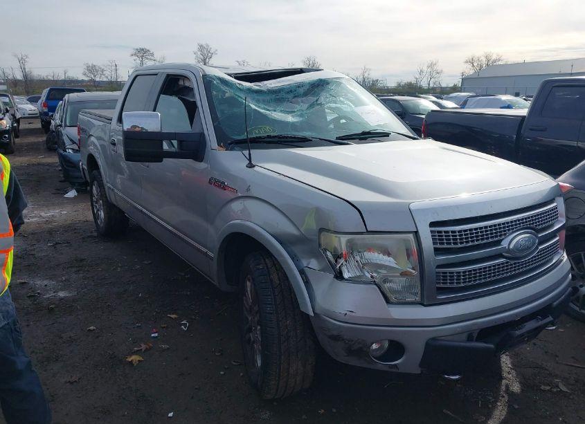 2009 Ford F-150 FX4/KING RANCH/LARIAT/PLATINUM/XL/XLT (VIN 1FTPW14V39FB33774) main photo