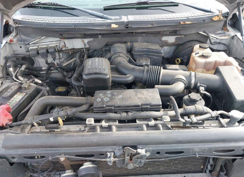 Photo 10 of 2009 Ford F-150 FX4/KING RANCH/LARIAT/PLATINUM/XL/XLT (VIN 1FTPW14V39FB33774)