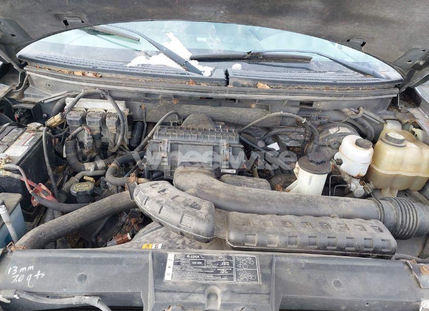 Photo 10 of 2008 Ford F-150 60TH ANNIVERSARY/FX4/KING RANCH/LARIAT/XLT (VIN 1FTPW14V48FB51876)