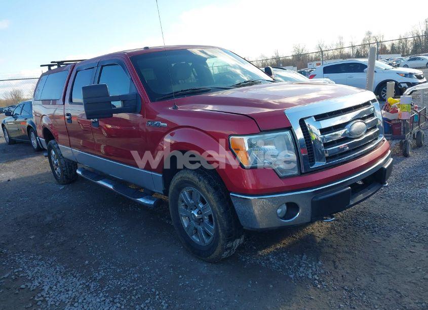 2009 Ford F-150 FX4/KING RANCH/LARIAT/PLATINUM/XL/XLT (VIN 1FTPW14V49FA38057) main photo