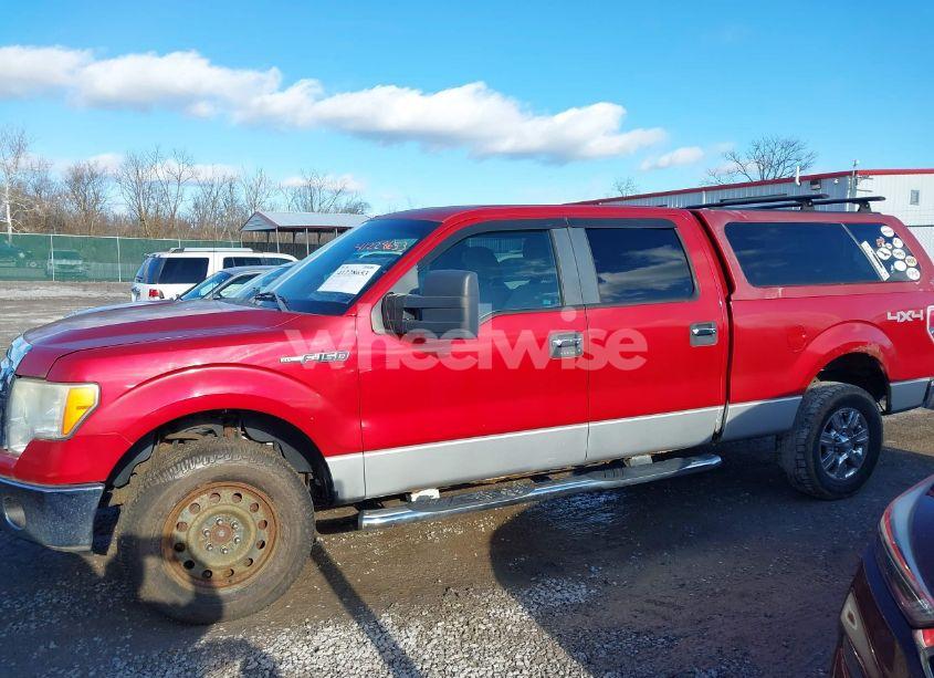 Photo 14 of 2009 Ford F-150 FX4/KING RANCH/LARIAT/PLATINUM/XL/XLT (VIN 1FTPW14V49FA38057)