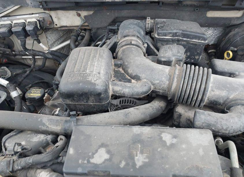 Photo 10 of 2009 Ford F-150 FX4/KING RANCH/LARIAT/PLATINUM/XL/XLT (VIN 1FTPW14V49FA82849)