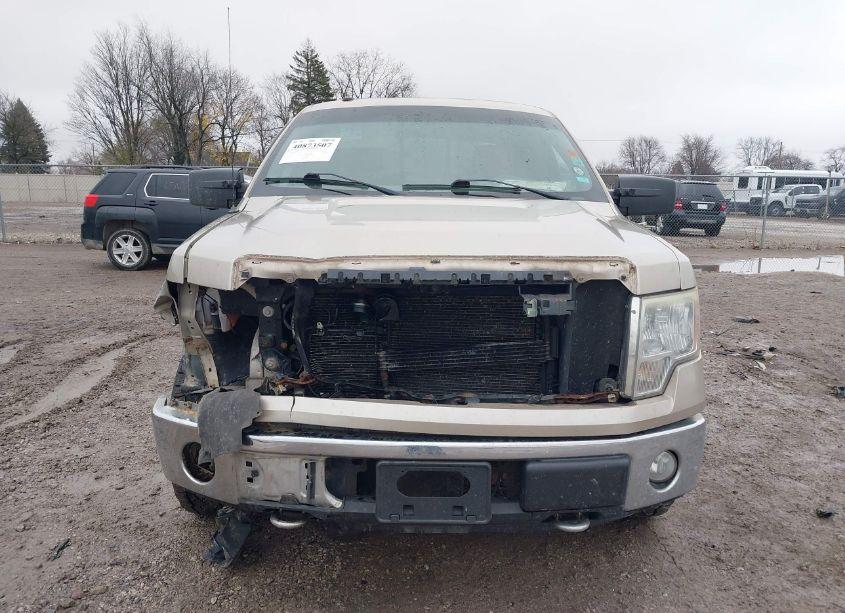 Photo 12 of 2009 Ford F-150 FX4/KING RANCH/LARIAT/PLATINUM/XL/XLT (VIN 1FTPW14V49FA82849)