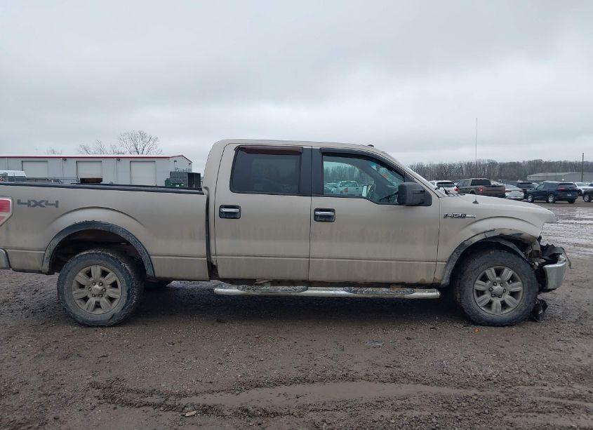 Photo 13 of 2009 Ford F-150 FX4/KING RANCH/LARIAT/PLATINUM/XL/XLT (VIN 1FTPW14V49FA82849)