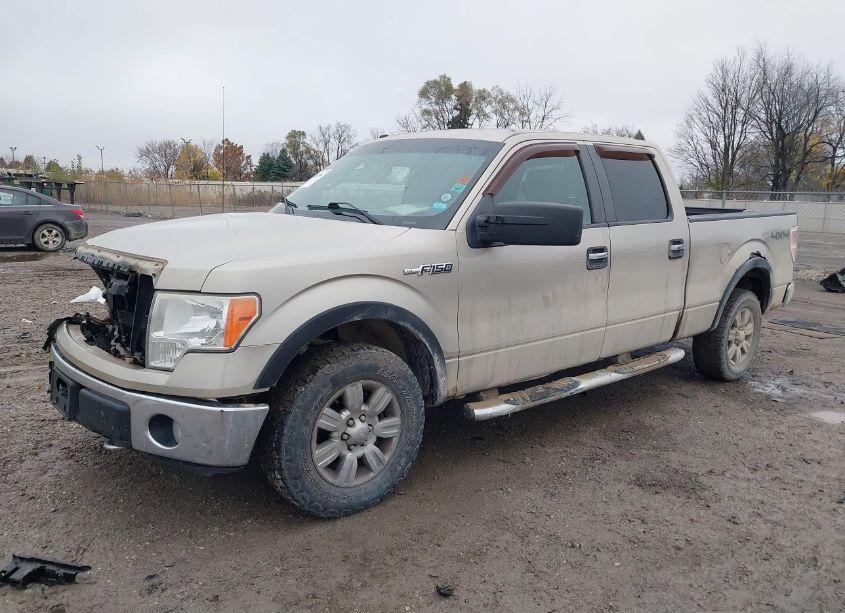 Photo 2 of 2009 Ford F-150 FX4/KING RANCH/LARIAT/PLATINUM/XL/XLT (VIN 1FTPW14V49FA82849)