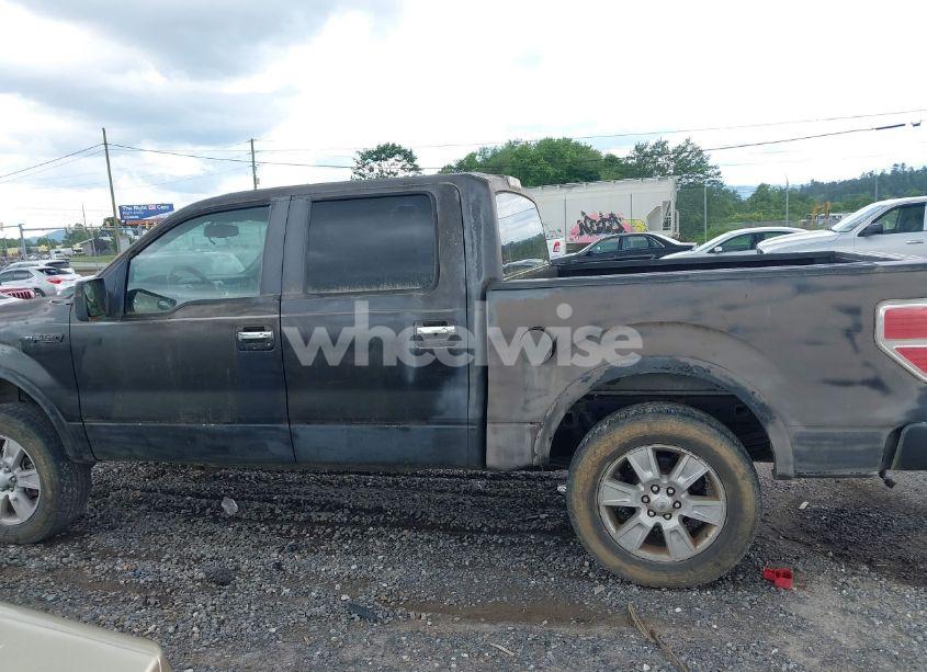 Photo 14 of 2009 Ford F-150 FX4/KING RANCH/LARIAT/PLATINUM/XL/XLT (VIN 1FTPW14V49KC59679)