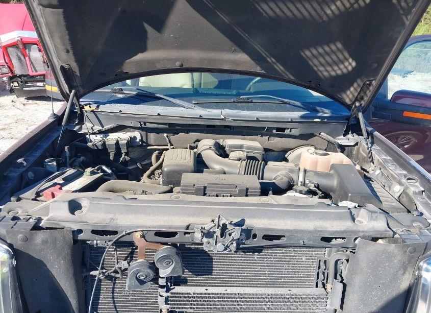 Photo 10 of 2009 Ford F-150 FX4/KING RANCH/LARIAT/PLATINUM/XL/XLT (VIN 1FTPW14V59FA24247)