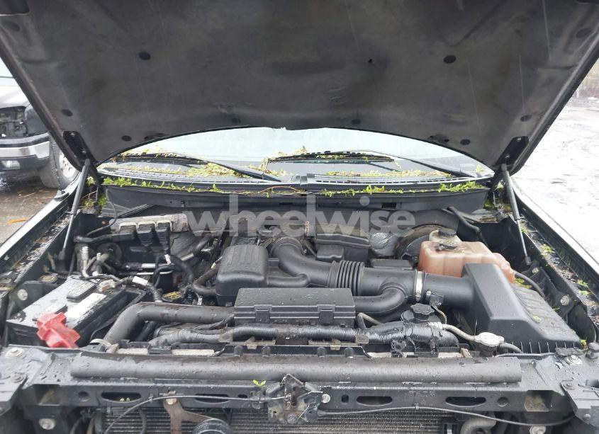 Photo 10 of 2009 Ford F-150 FX4/KING RANCH/LARIAT/PLATINUM/XL/XLT (VIN 1FTPW14V59FB39575)