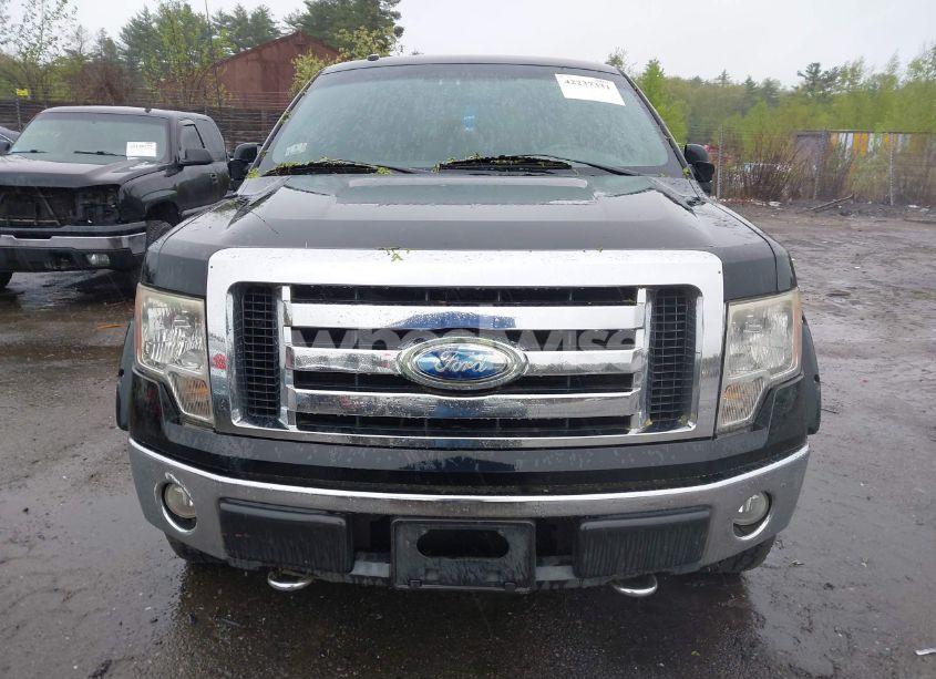 Photo 12 of 2009 Ford F-150 FX4/KING RANCH/LARIAT/PLATINUM/XL/XLT (VIN 1FTPW14V59FB39575)
