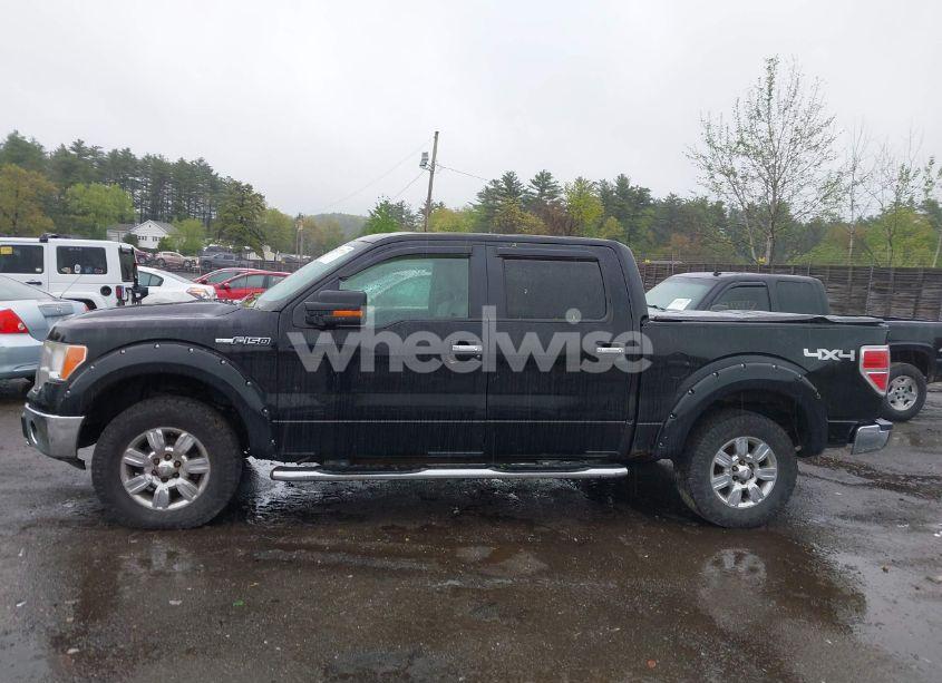 Photo 14 of 2009 Ford F-150 FX4/KING RANCH/LARIAT/PLATINUM/XL/XLT (VIN 1FTPW14V59FB39575)
