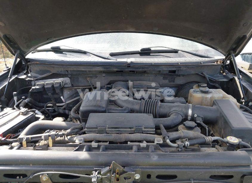 Photo 10 of 2009 Ford F-150 KING RANCH (VIN 1FTPW14V59KC44124)