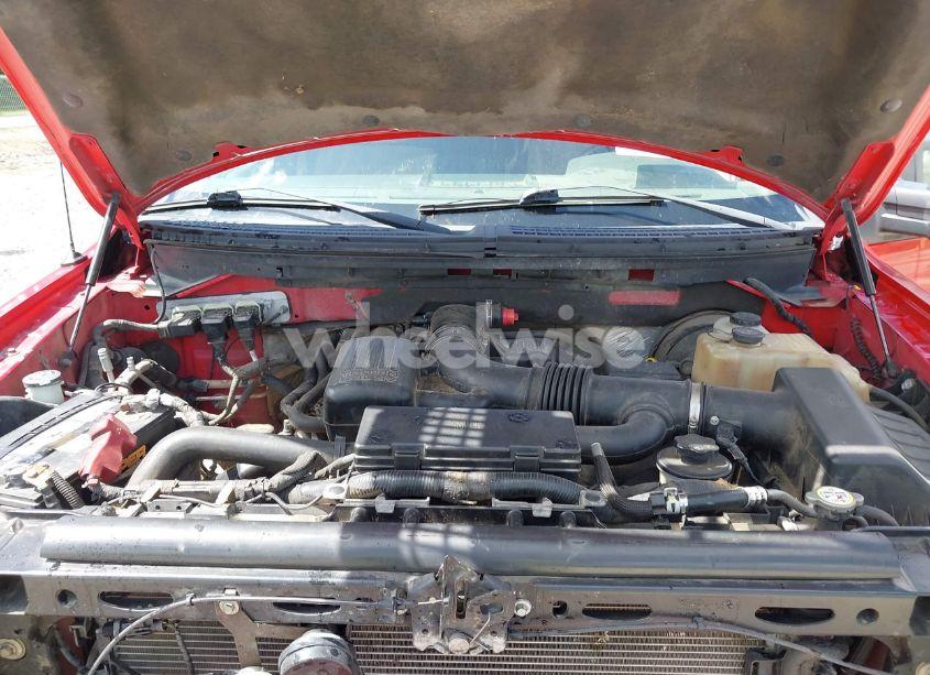 Photo 10 of 2009 Ford F-150 FX4/KING RANCH/LARIAT/PLATINUM/XL/XLT (VIN 1FTPW14V69FA84148)