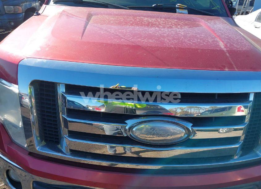 Photo 10 of 2009 Ford F-150 FX4/KING RANCH/LARIAT/PLATINUM/XL/XLT (VIN 1FTPW14V79FA65026)