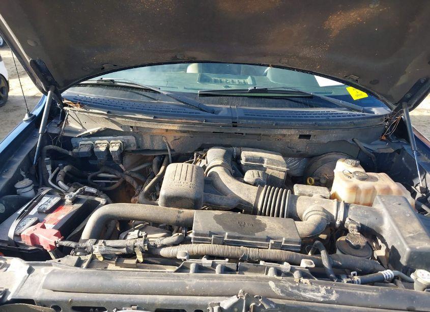 Photo 10 of 2009 Ford F-150 FX4/KING RANCH/LARIAT/PLATINUM/XL/XLT (VIN 1FTPW14V79FB45992)