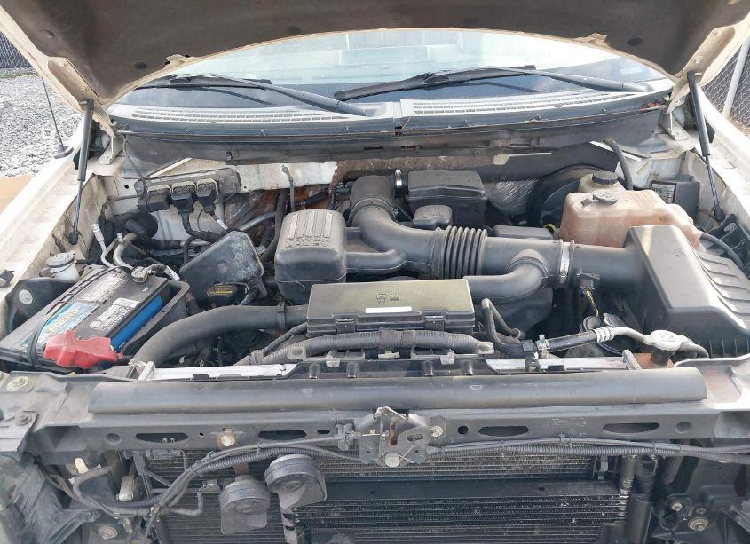 Photo 10 of 2009 Ford F-150 FX4/KING RANCH/LARIAT/PLATINUM/XL/XLT (VIN 1FTPW14V89FA23562)