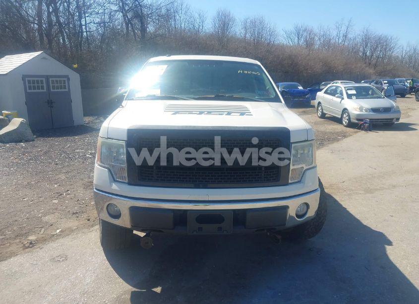 Photo 12 of 2009 Ford F-150 FX4/KING RANCH/LARIAT/PLATINUM/XL/XLT (VIN 1FTPW14V89FA38465)