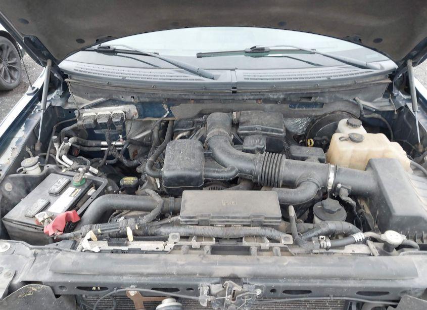 Photo 10 of 2009 Ford F-150 FX4/KING RANCH/LARIAT/PLATINUM/XL/XLT (VIN 1FTPW14V89FA98195)