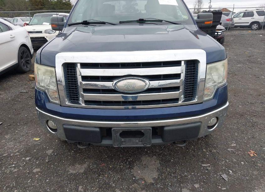 Photo 6 of 2009 Ford F-150 FX4/KING RANCH/LARIAT/PLATINUM/XL/XLT (VIN 1FTPW14V89FA98195)