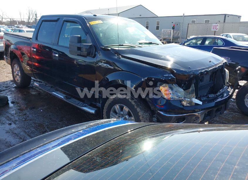 2009 Ford F-150 FX4/KING RANCH/LARIAT/PLATINUM/XL/XLT (VIN 1FTPW14V89FB03489) main photo