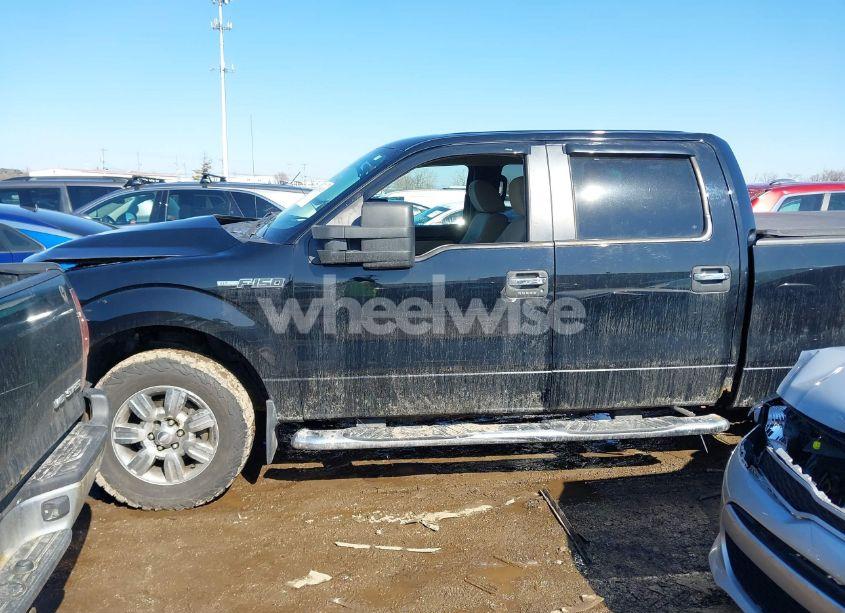 Photo 13 of 2009 Ford F-150 FX4/KING RANCH/LARIAT/PLATINUM/XL/XLT (VIN 1FTPW14V89FB03489)