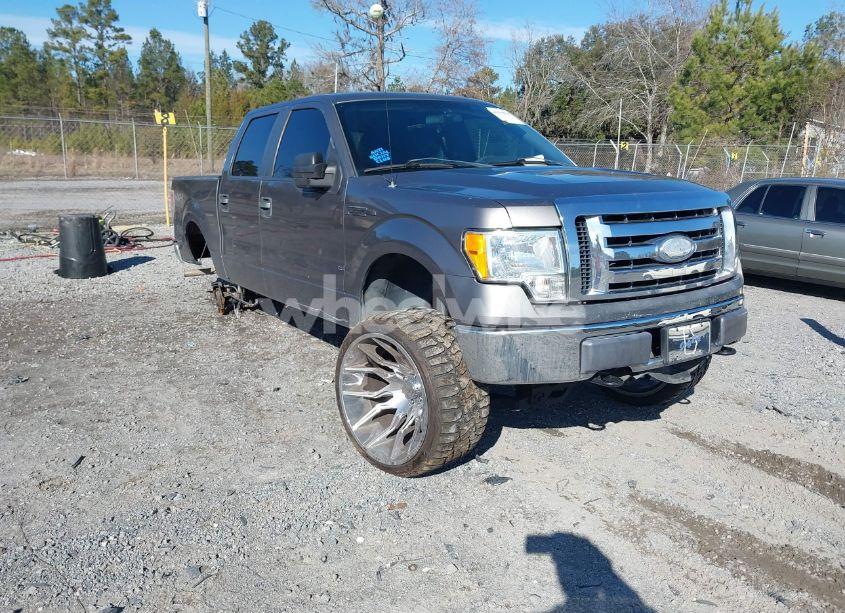 2009 Ford F-150 FX4/KING RANCH/LARIAT/PLATINUM/XL/XLT (VIN 1FTPW14V89KC73312) main photo