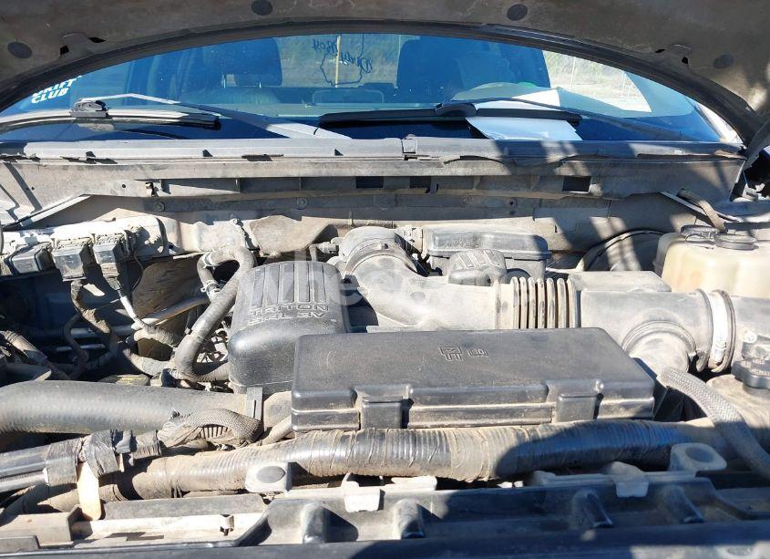 Photo 10 of 2009 Ford F-150 FX4/KING RANCH/LARIAT/PLATINUM/XL/XLT (VIN 1FTPW14V89KC73312)