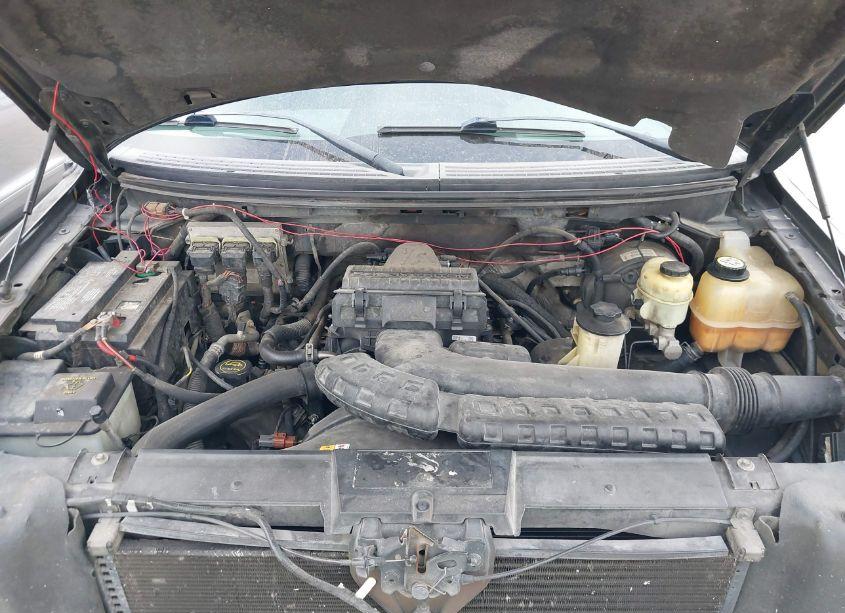 Photo 10 of 2008 Ford F-150 60TH ANNIVERSARY/FX4/KING RANCH/LARIAT/XLT (VIN 1FTPW14V98FB34443)