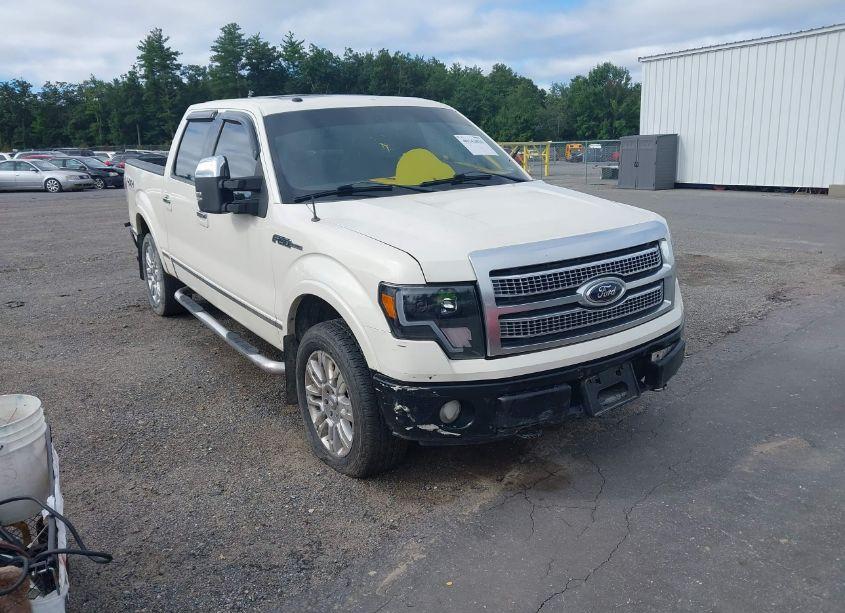 2009 Ford F-150 (VIN 1FTPW14V99FA40631) main photo