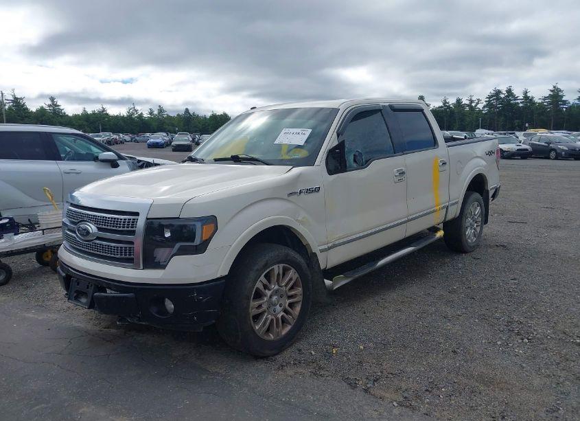 Photo 6 of 2009 Ford F-150 (VIN 1FTPW14V99FA40631)