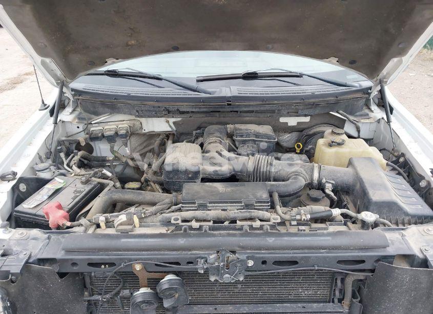 Photo 10 of 2009 Ford F-150 FX4/KING RANCH/LARIAT/PLATINUM/XL/XLT (VIN 1FTPW14V99FB09785)