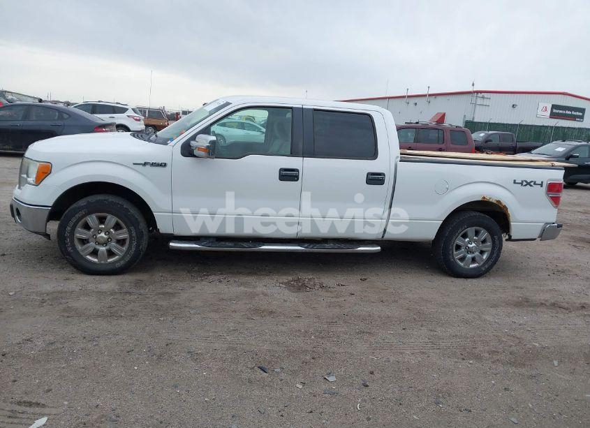 Photo 14 of 2009 Ford F-150 FX4/KING RANCH/LARIAT/PLATINUM/XL/XLT (VIN 1FTPW14V99FB09785)