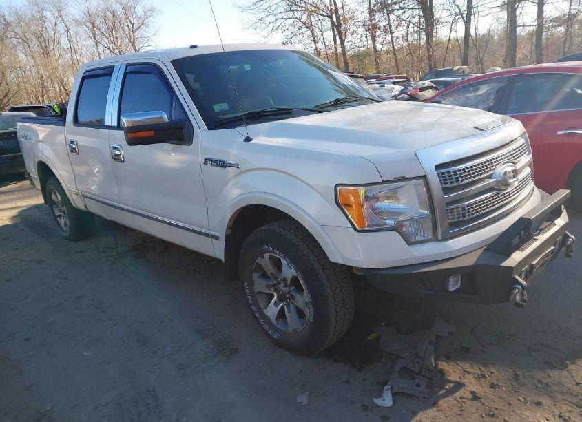 2009 Ford F-150 FX4/KING RANCH/LARIAT/PLATINUM/XL/XLT (VIN 1FTPW14V99FB18454) main photo